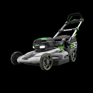 import placeholder for 8651