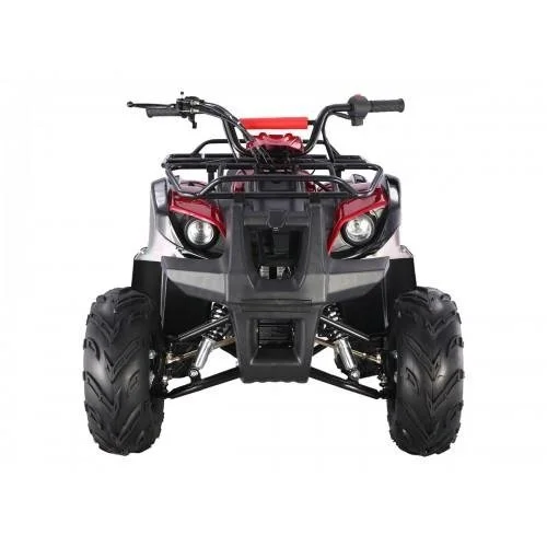 tao motors d125 kids atvs tao motors d125 kids atvs