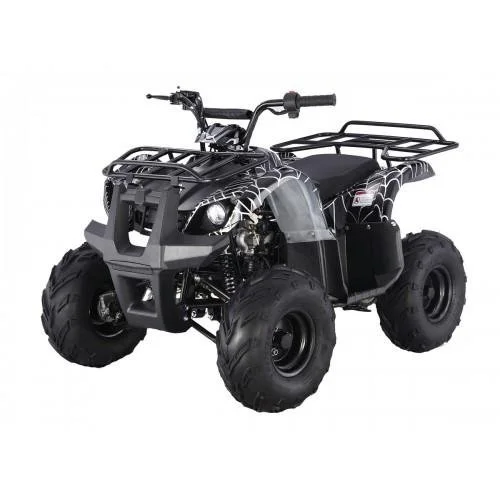tao motors d125 kids atvs tao motors d125 kids atvs